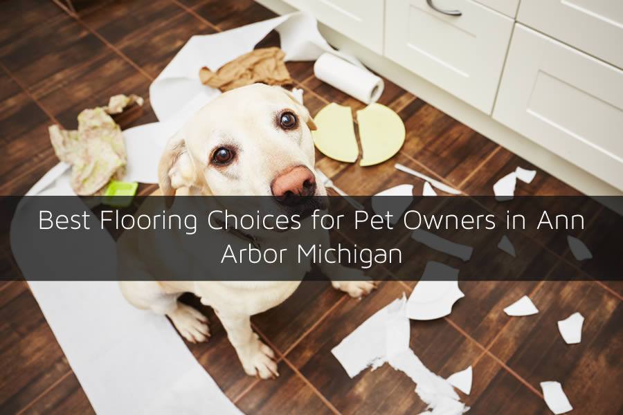 Best Flooring Choices for Pet Owners in Ann Arbor Michigan